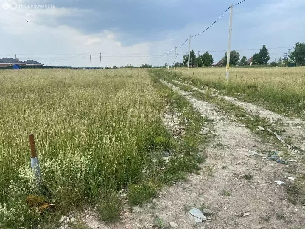 Участок в Калининградская область, Гурьевский муниципальный округ, ... - Фото 1