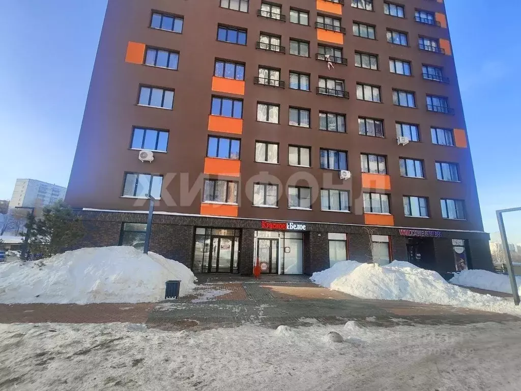 Помещение свободного назначения в Новосибирская область, Новосибирск ... - Фото 1