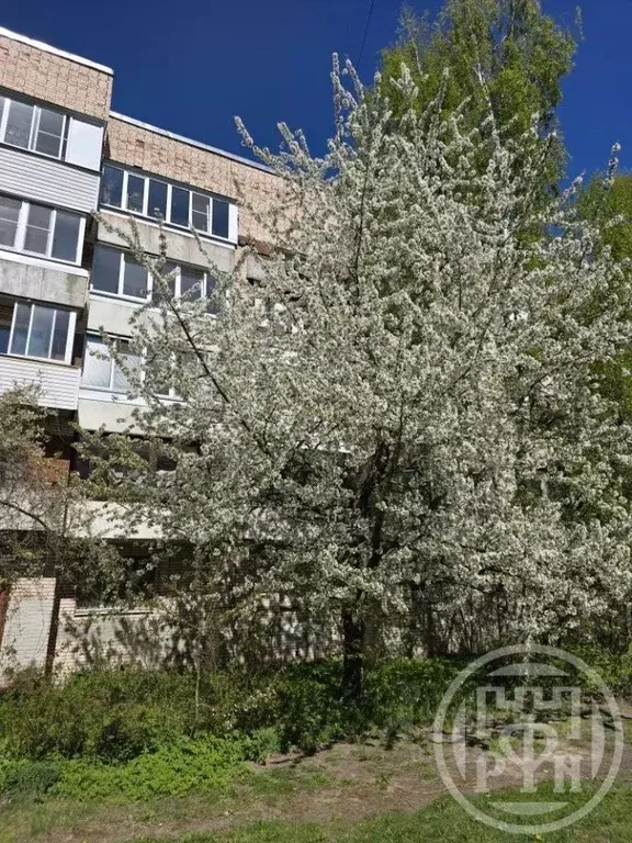 1-к кв. Санкт-Петербург, Санкт-Петербург, Пушкин Детскосельский бул., ... - Фото 2