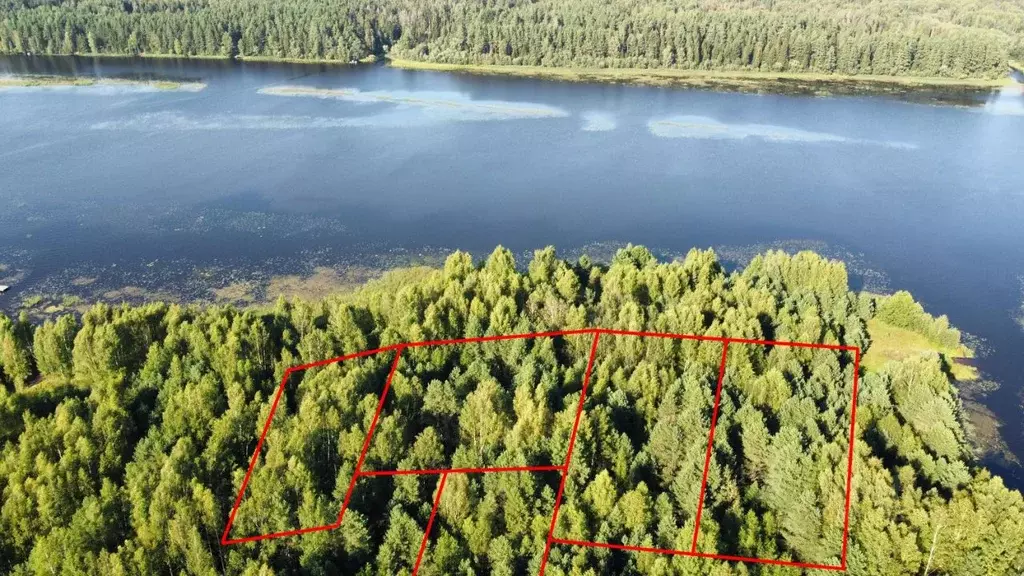 Участок в Тверская область, Кимрский муниципальный округ, д. Чупеево  ... - Фото 2