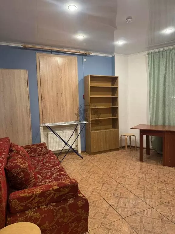Студия Санкт-Петербург ул. Ворошилова, 29к2 (25.0 м) - Фото 1