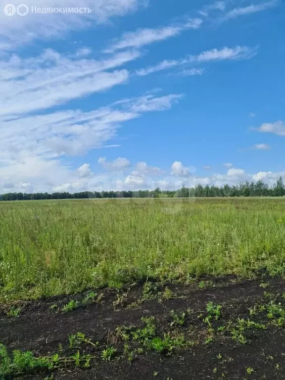 Участок в Лямбирский район, село Берсеневка (9.66 м) - Фото 1
