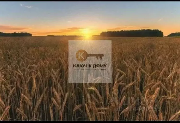 Участок в Ростовская область, Аксайский район, Ольгинская ст-ца  ... - Фото 1