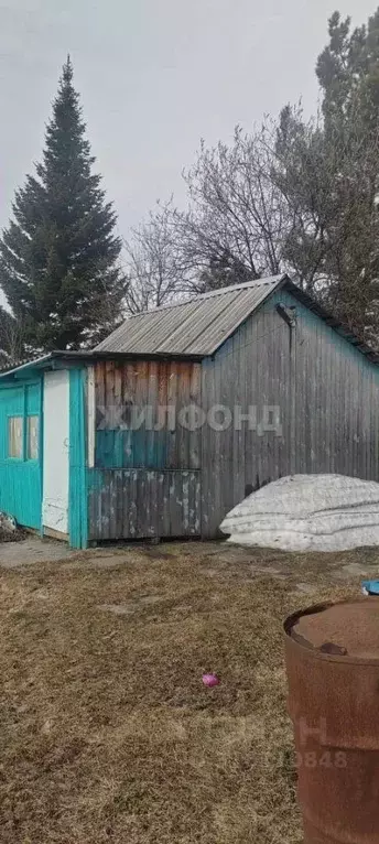 Дом в Новосибирская область, Новосибирский район, с. Раздольное  (20 ... - Фото 0