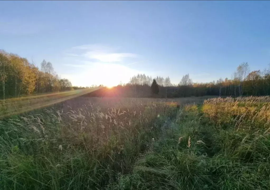Участок в Московская область, Сергиево-Посадский городской округ, д. ... - Фото 1