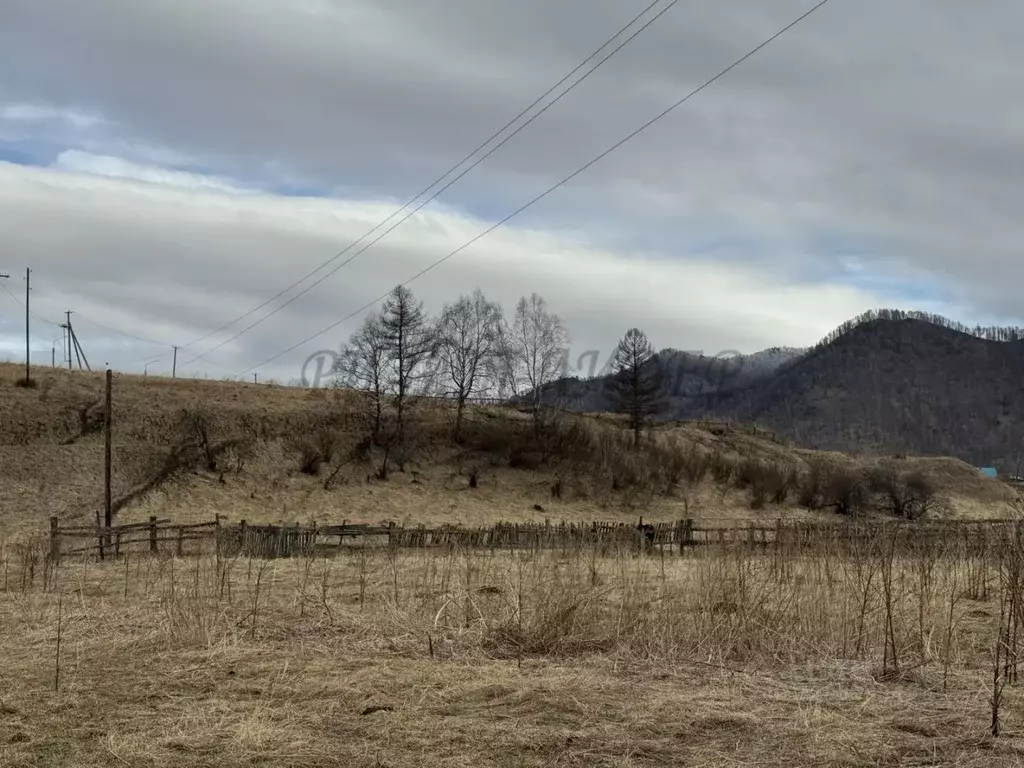 Участок в Алтай, Шебалинский район, с. Мыюта Российская ул. (18.0 ... - Фото 2