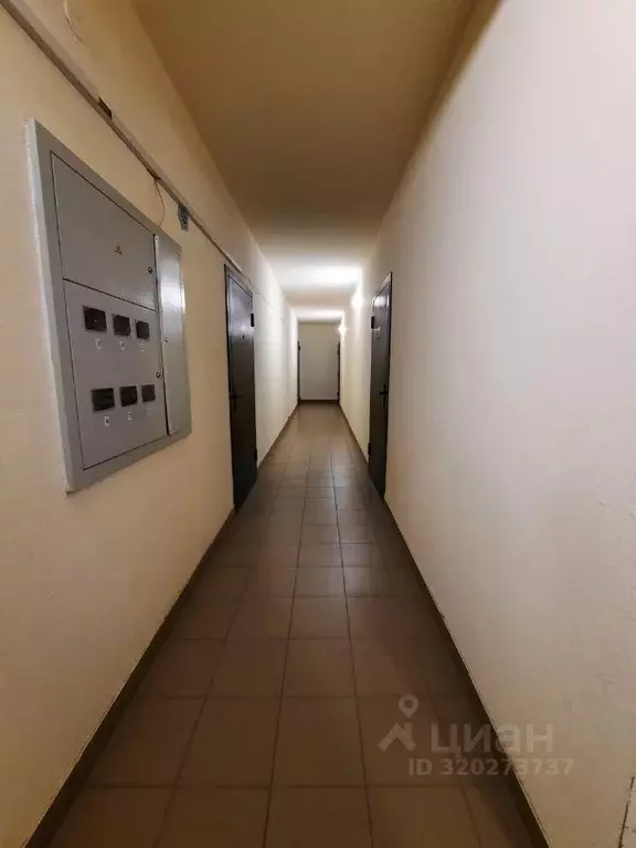 1-к кв. Волгоградская область, Волгоград ул. Имени Профессора ... - Фото 0