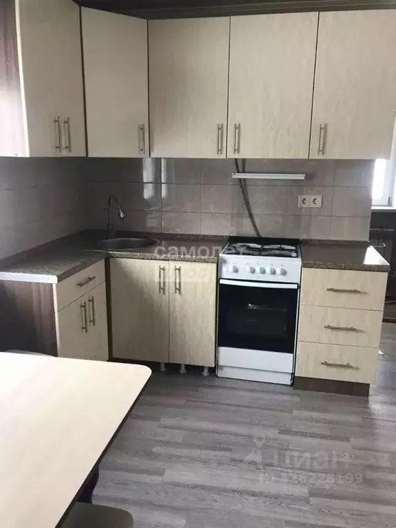 Дом в Алтайский край, Барнаул городской округ, с. Лебяжье ул. ... - Фото 1