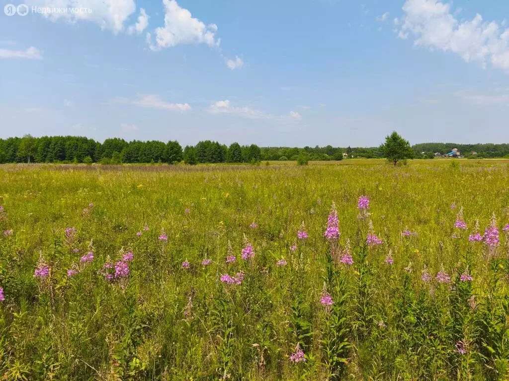 Участок в Московская область, Раменский муниципальный округ, ... - Фото 1