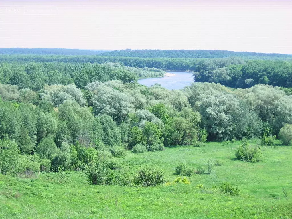 Купить Участок В Р П Подгоренский