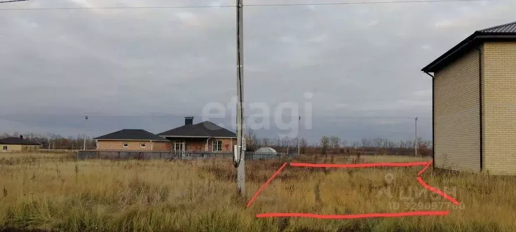 Участок в Воронежская область, с. Новая Усмань ул. Менделеева, 105 ... - Фото 1