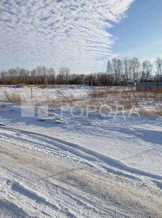 Участок в Алтайский край, Барнаул городской округ, пос. Черницк ул. ... - Фото 0