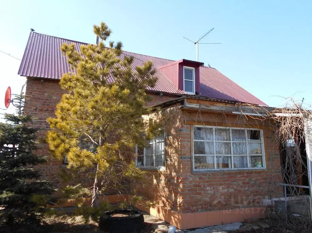 Дом в Омская область, Таврический район, д. Камышино ул. Бормотова ... - Фото 2