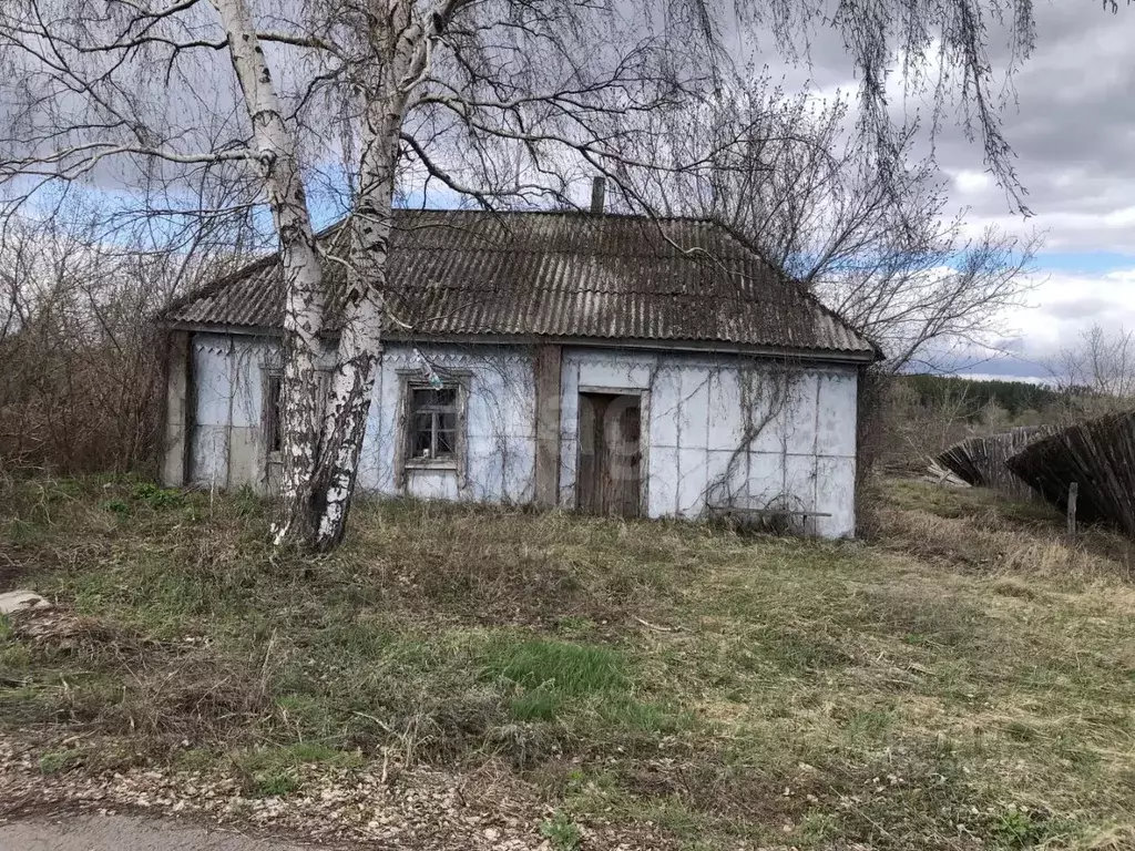 Участок в Воронежская область, Каширский район, Каменно-Верховское ... - Фото 1