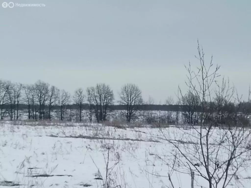 Участок в село Горки, улица Гагарина, 12 (17 м) - Фото 2