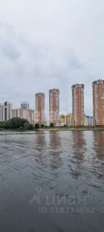 1-к кв. Саратовская область, Энгельс Трудовая ул., 12/7 (48.12 м) - Фото 1