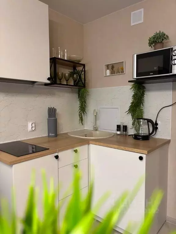 Студия Краснодарский край, Анапа ул. Ленина, 239 (25.0 м) - Фото 2