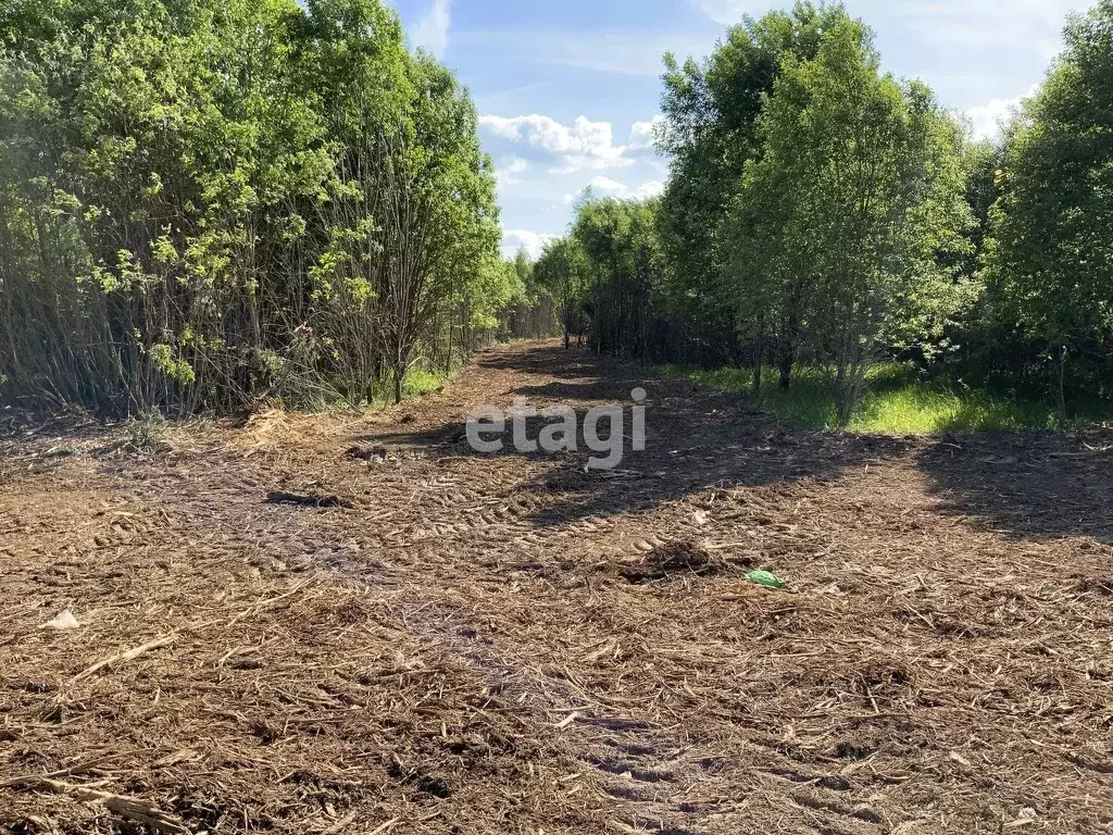 Участок в Костромская область, Красносельский район, Прискоковское ... - Фото 0