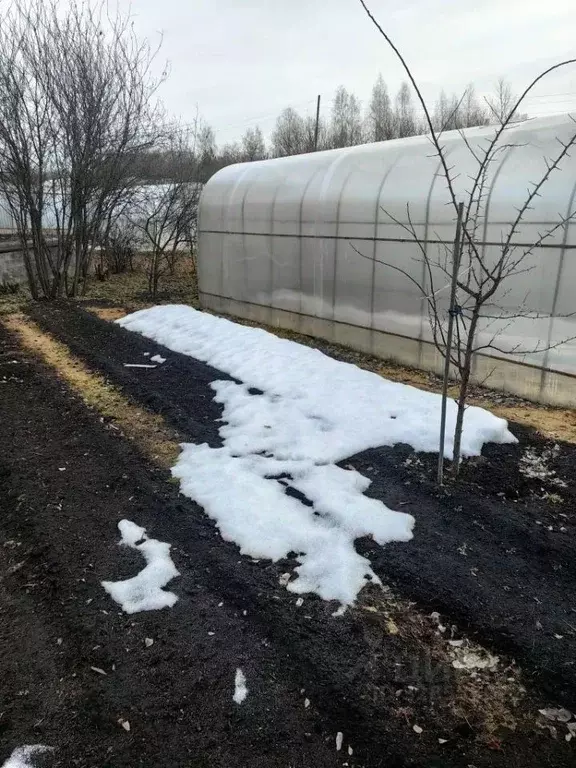 Дом в Челябинская область, Челябинск Трубопрокатчик-2 СНТ, ул. 11-я ... - Фото 2