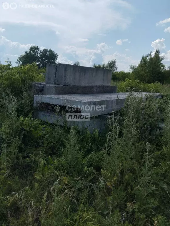 Участок в Новосибирский район, Ярковский сельсовет, СТ Ветеран-2 (9 м) - Фото 0