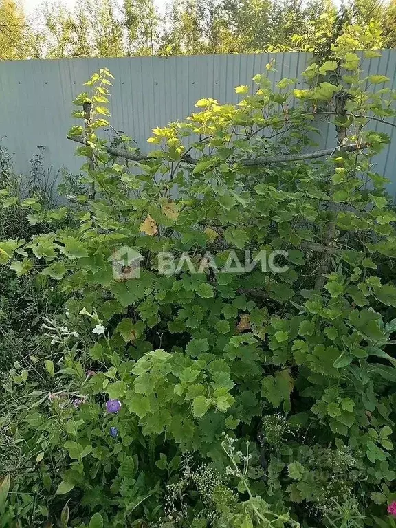 Участок в Башкортостан, Стерлитамак Строитель-1 СНТ, 40 (7.0 сот.) - Фото 2