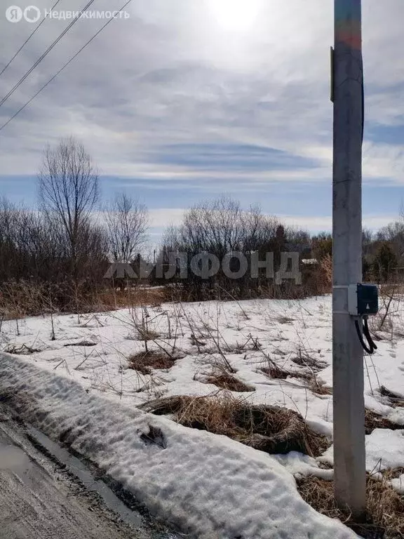 Участок в Колыванский район, садоводческое некоммерческое товарищество ... - Фото 2
