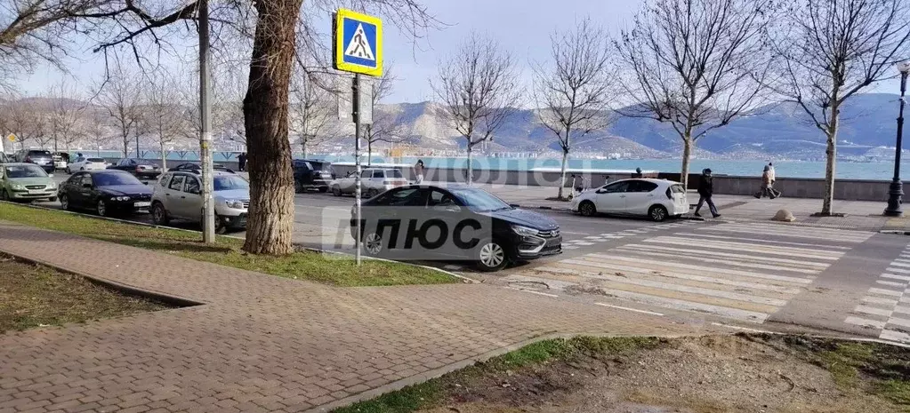 Помещение свободного назначения в Краснодарский край, Новороссийск ... - Фото 1