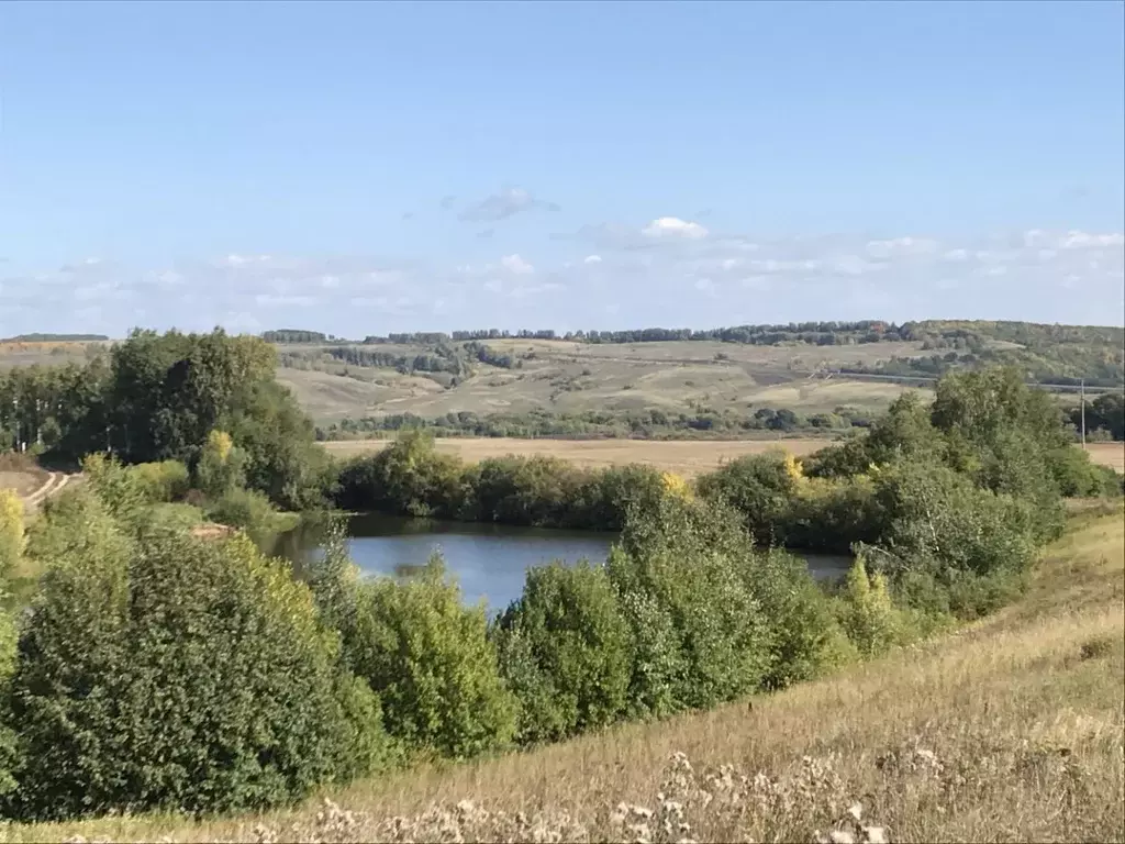 Участок в Татарстан, Верхнеуслонский район, Кураловское с/пос, с. ... - Фото 1
