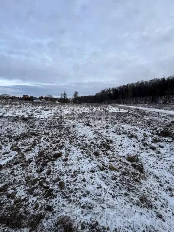 Участок в Московская область, Подольск городской округ, д. Пузиково 42 ... - Фото 0