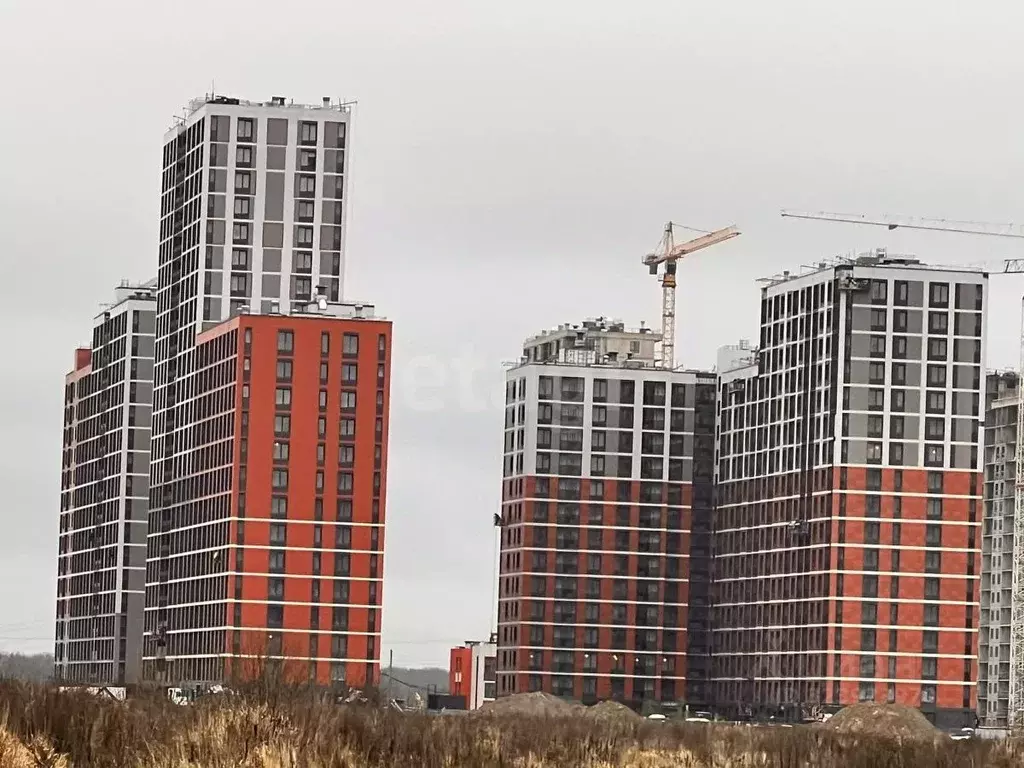 Студия Ленинградская область, Всеволожский район, Свердловское ... - Фото 2