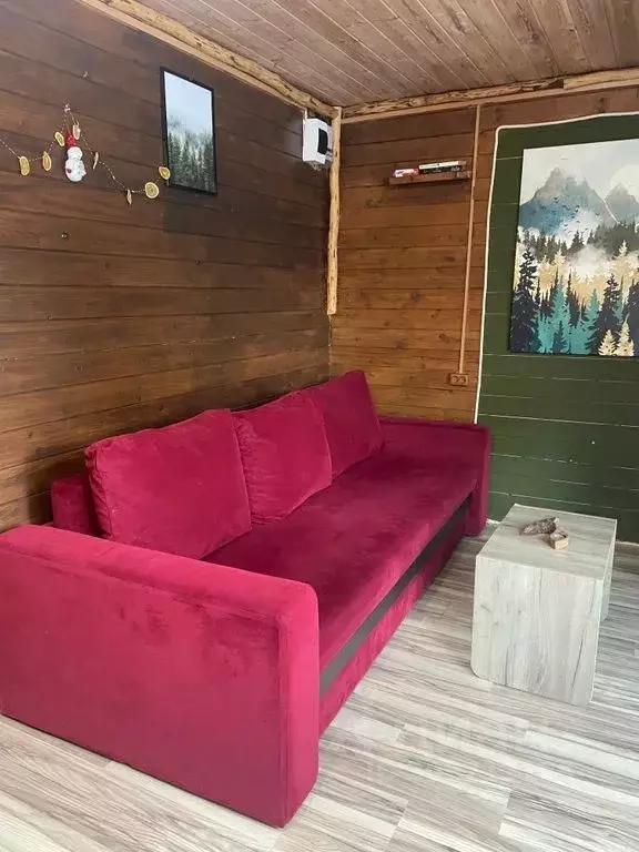 Дом в Краснодарский край, Сочи Красная Поляна пгт, ул. Защитников ... - Фото 1