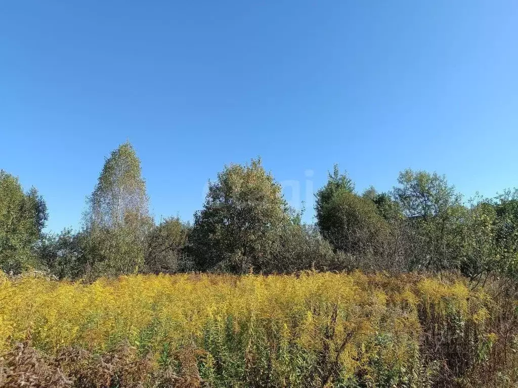 Участок в Брянская область, Брянский район, Чернетовское с/пос, Сад-8 ... - Фото 2