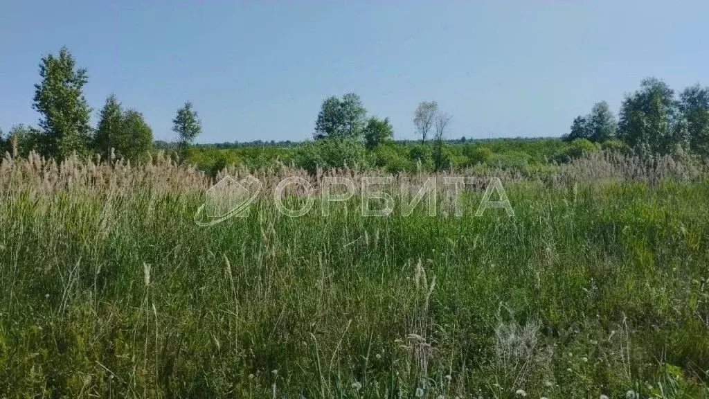 Участок в Тюменская область, Тюменский район, д. Якуши ул. Звездная ... - Фото 1