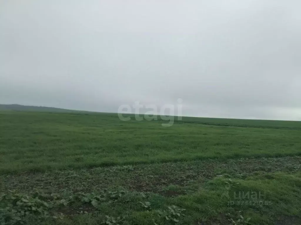 Участок в Крым, Ленинский район, Семисотское с/пос, с. Каменское ул. ... - Фото 1