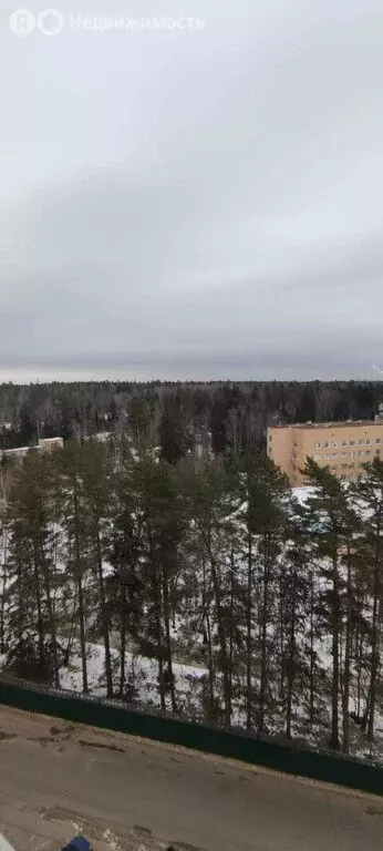 1-комнатная квартира: посёлок городского типа Голубое, Родниковая ... - Фото 1