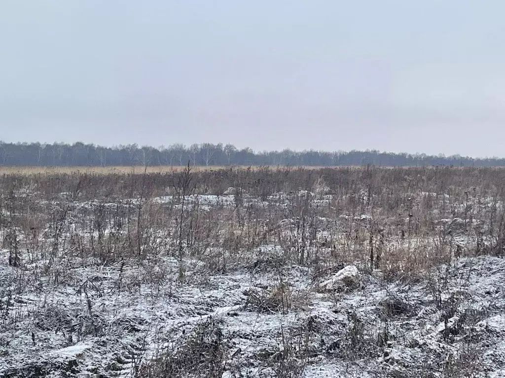 Участок в Московская область, Бронницы  (6.0 сот.) - Фото 0