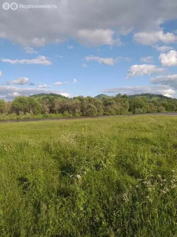 Участок в Алтайский район, село Куяган (560 м) - Фото 1