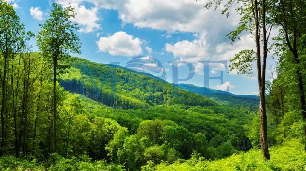 Участок в Краснодарский край, Туапсинский муниципальный округ, с. ... - Фото 2