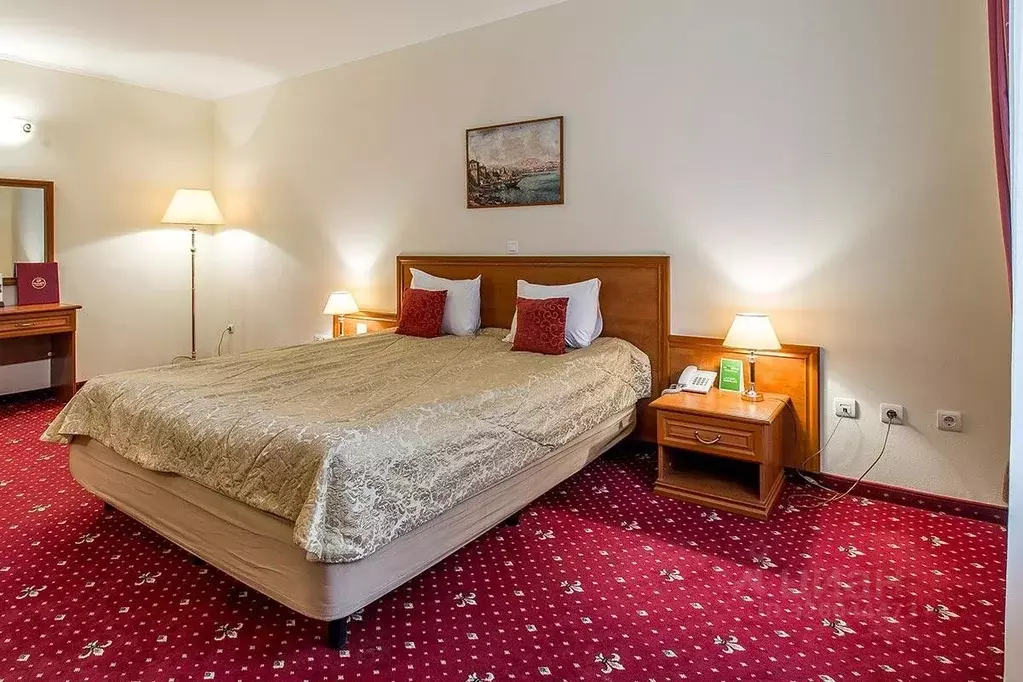 Комната Самарская область, Самара Чапаевская ул., 201 (21.0 м) - Фото 1