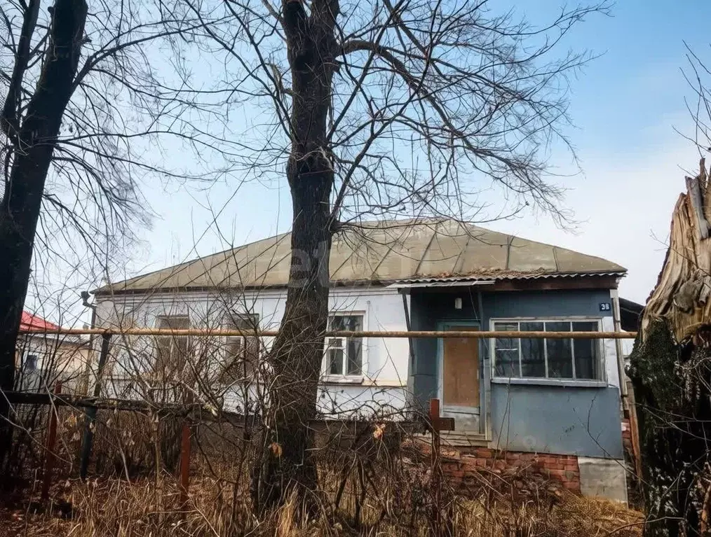 Дом в Липецкая область, Усмань ул. Эртеля, 36 (66 м) - Фото 1