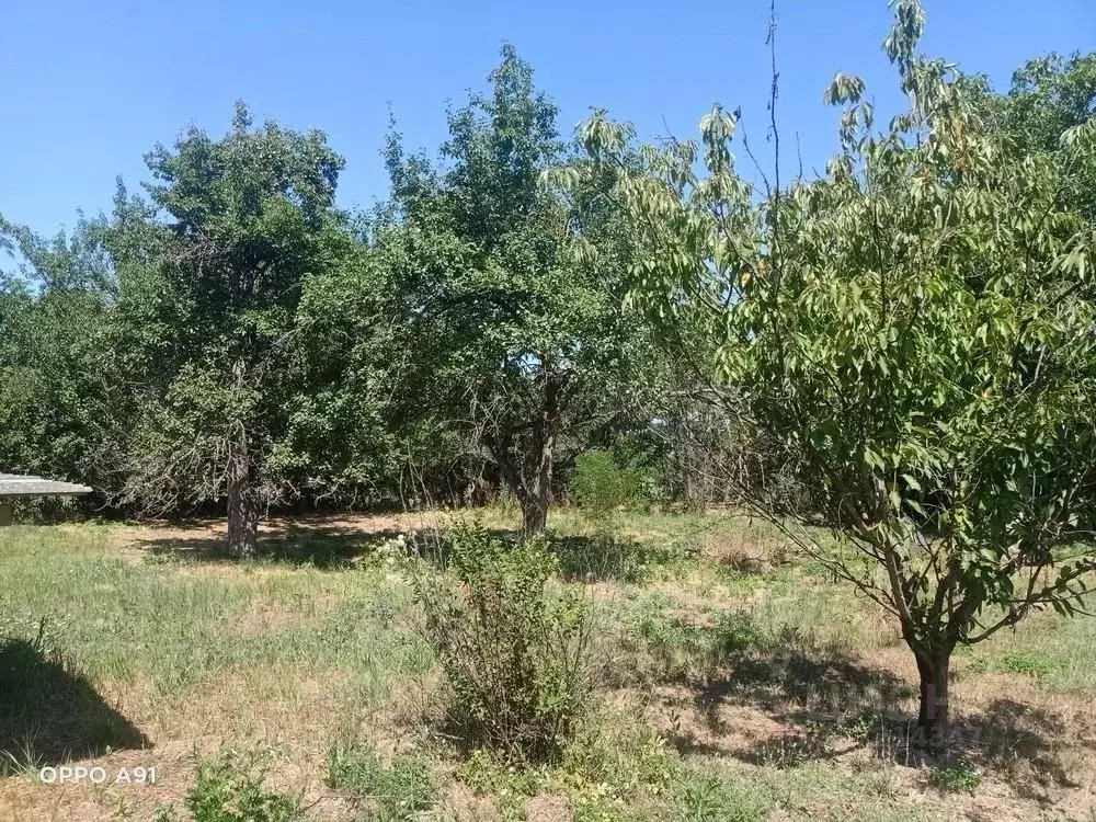 Участок в Краснодарский край, Анапа муниципальный округ, Гостагаевская ... - Фото 1