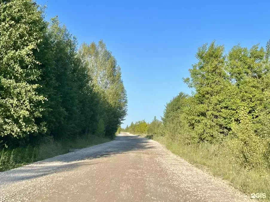 Участок в Пермский край, Пермь Оборинское СНТ,  (17.62 сот.) - Фото 2