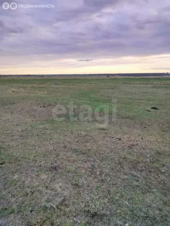 Участок в Марксовский район, Зоркинское муниципальное образование, ... - Фото 1