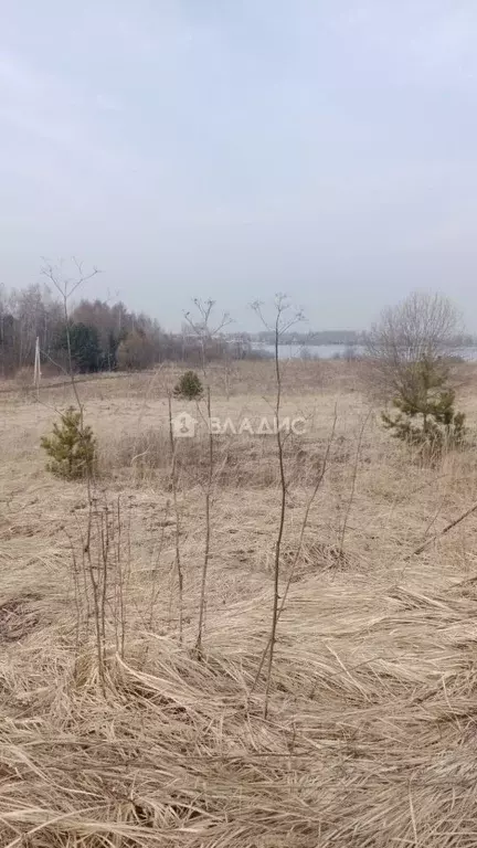 Участок в Калужская область, Боровский муниципальный округ, д. Комлево ... - Фото 1