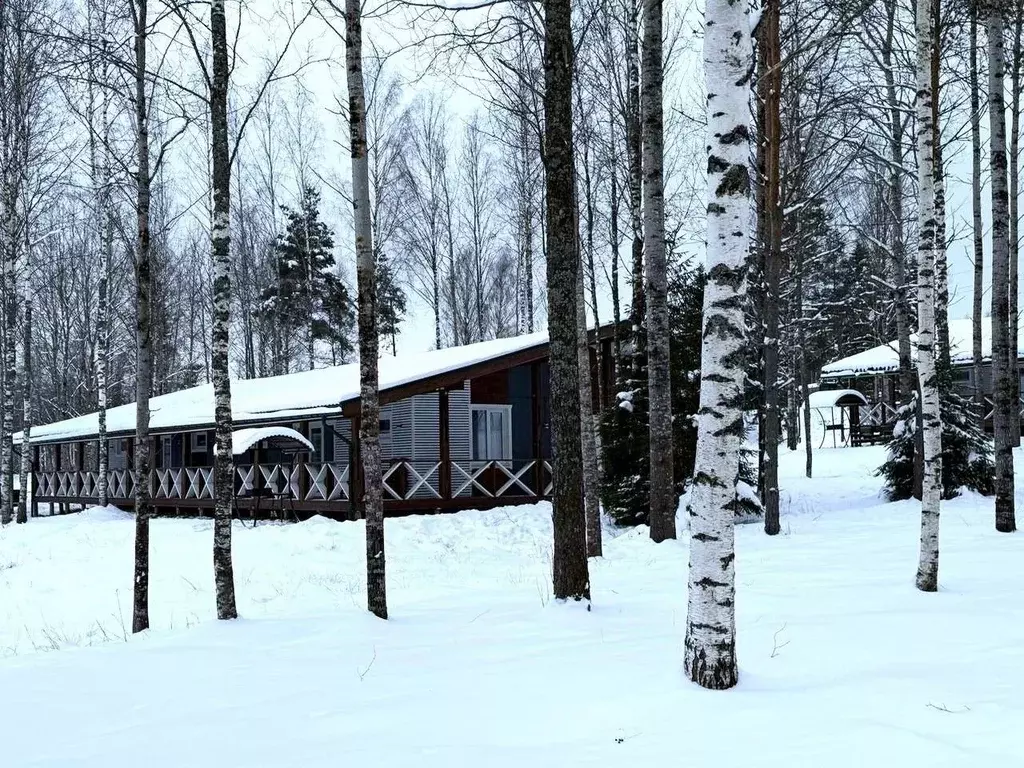 3-к кв. Новгородская область, Любытинское с/пос, д. Бор 129 (150.0 м) - Фото 2