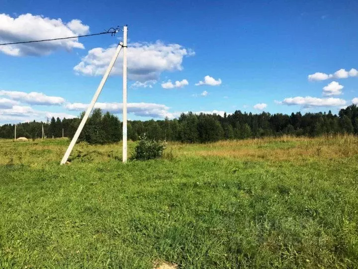 Участок в Татарстан, Заинский район, с. Бегишево  (15.0 сот.) - Фото 1