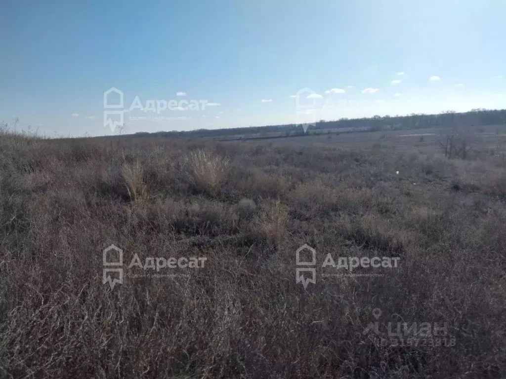Участок в Волгоградская область, Средняя Ахтуба рп ул. Наримана (9.62 ... - Фото 1