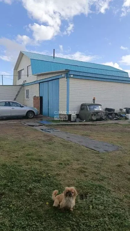 Дом в Забайкальский край, Читинский район, с. Шишкино Осенняя ул., 12 ... - Фото 0
