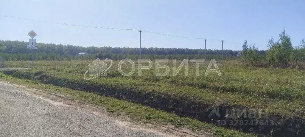 Участок в Тюменская область, Тюменский муниципальный округ, Нива СНТ ... - Фото 2