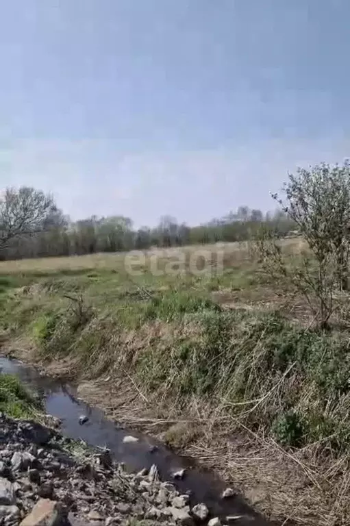 Участок в Сахалинская область, Долинский городской округ, с. ... - Фото 0